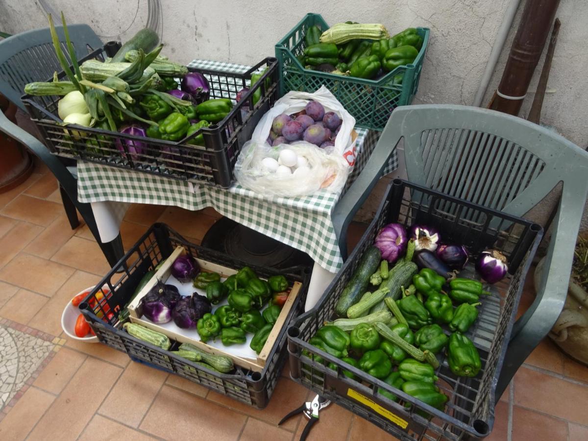 Villa La Bottega Del Fabbro Affitto Breve Contigliano Exterior foto