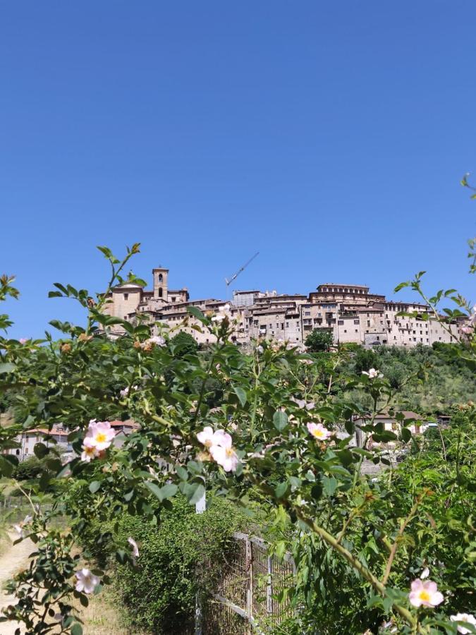 Villa La Bottega Del Fabbro Affitto Breve Contigliano Exterior foto